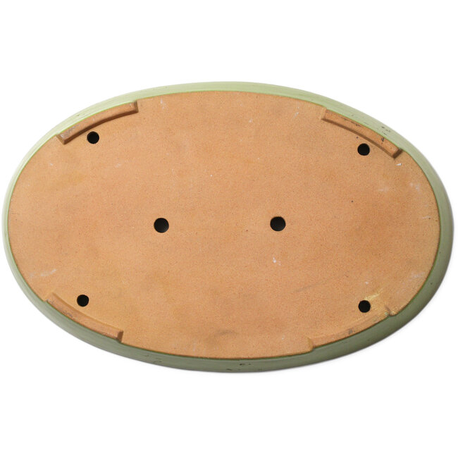 Oval yellow bonsai pot by Seizan (Reihou, Kataoka Katsushi, master Seizan kiln) - 487 x 316 x 45 mm