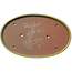 Oval yellow bonsai pot by Seizan (Reihou, Kataoka Katsushi, master Seizan kiln) - 482 x 302 x 35 mm