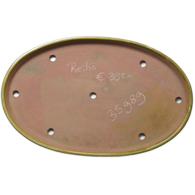 Ovaler gelber Bonsaitopf von Seizan (Reihou, Kataoka Katsushi, Meister Seizan-Ofen) – 482 x 302 x 35 mm