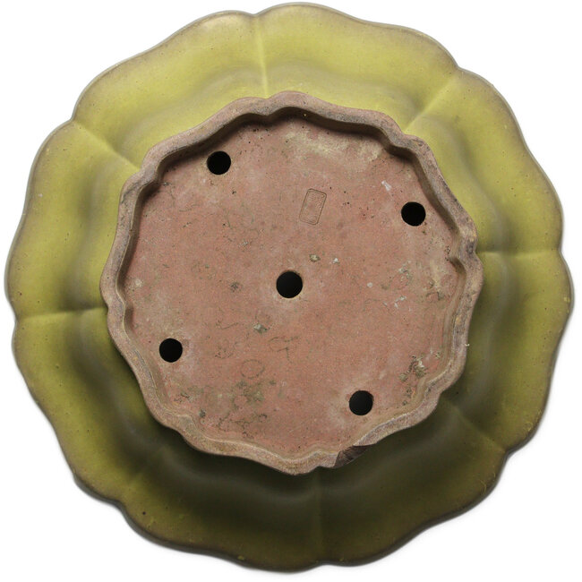 Vaso bonsai giallo loto di Seizan (Reihou, Kataoka Katsushi, forno del maestro Seizan) - 417 x 417 x 128 mm