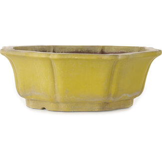 407 mm lotus yellow pot from China