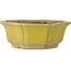 Lotus yellow bonsai pot - 407 x 407 x 141 mm