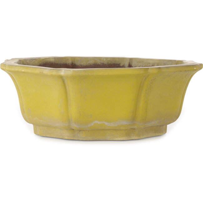 Vaso bonsai Lotus giallo - 407 x 407 x 141 mm