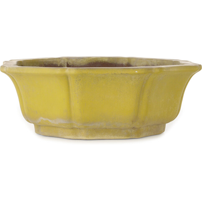 Lotus yellow bonsai pot - 407 x 407 x 141 mm