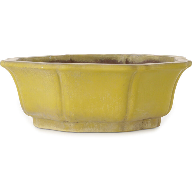 Vaso bonsai Lotus giallo - 407 x 407 x 141 mm