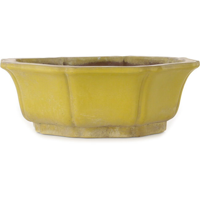 Lotus yellow bonsai pot - 407 x 407 x 141 mm