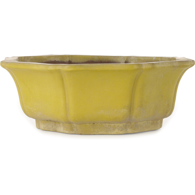 Lotus yellow bonsai pot - 407 x 407 x 141 mm