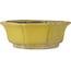 Pot à bonsaï jaune lotus - 407 x 407 x 141 mm