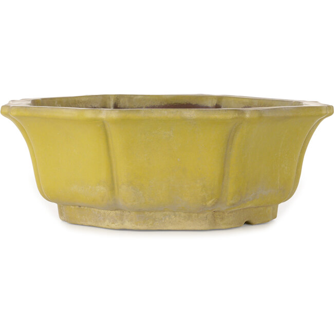 Lotusgele bonsaipot - 407 x 407 x 141 mm