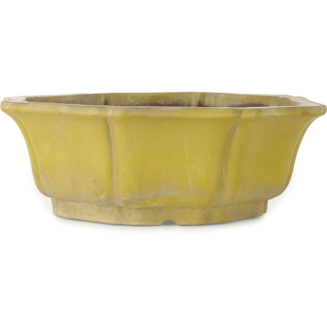Maceta para bonsái de loto amarillo - 407 x 407 x 141 mm