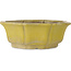 Lotus yellow bonsai pot - 407 x 407 x 141 mm