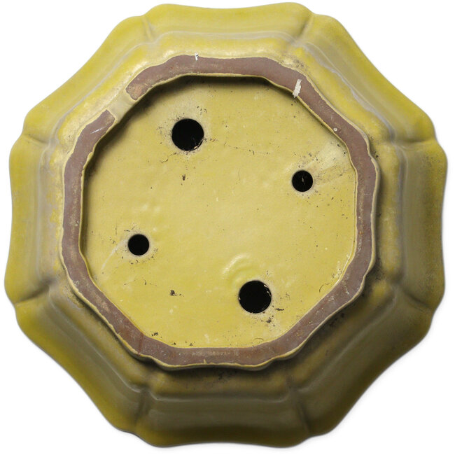 Lotus yellow bonsai pot - 407 x 407 x 141 mm