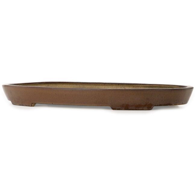 Pot à bonsaï ovale marron par Seizan (Reihou, Kataoka Katsushi, maître four Seizan) - 487 x 307 x 45 mm