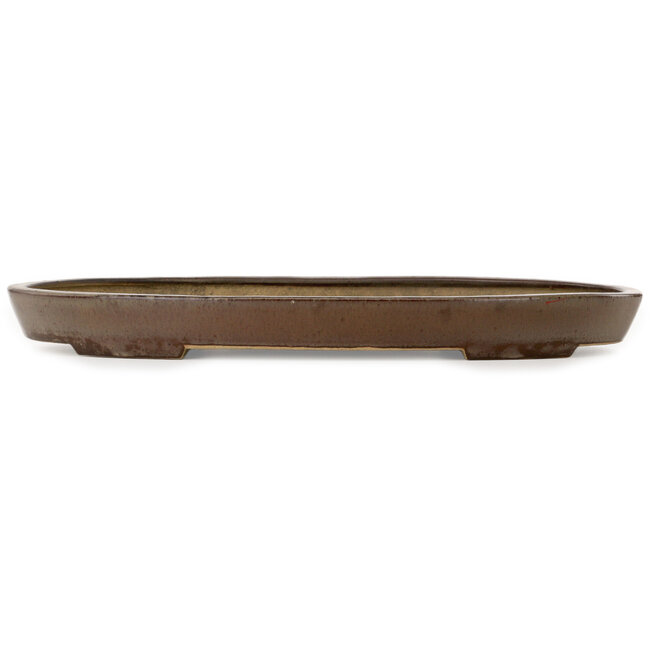Oval brown bonsai pot by Seizan (Reihou, Kataoka Katsushi, master Seizan kiln) - 487 x 307 x 45 mm