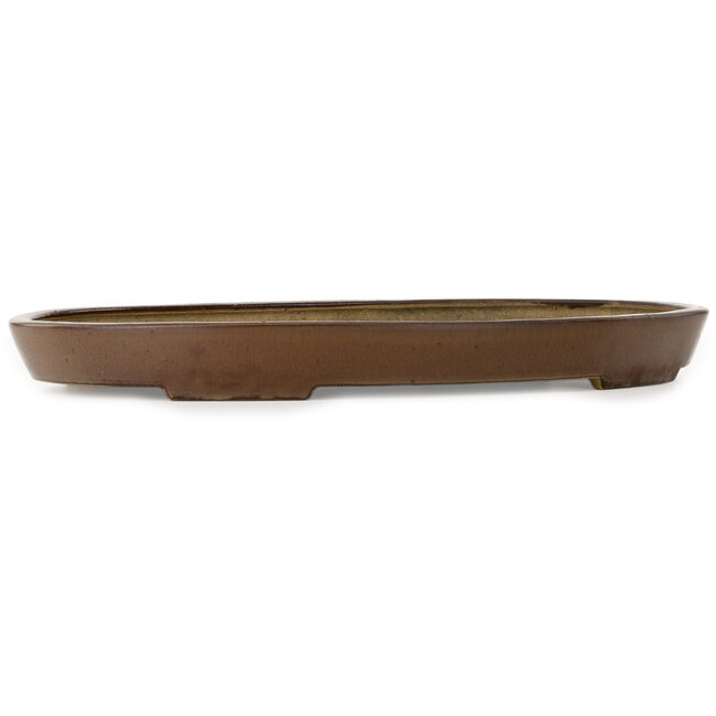 Oval brown bonsai pot by Seizan (Reihou, Kataoka Katsushi, master Seizan kiln) - 487 x 307 x 45 mm