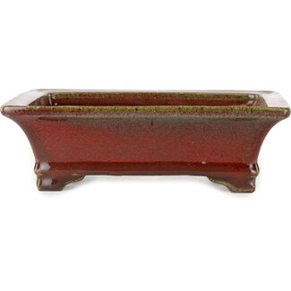 Seizan (Reihou, Kataoka Katsushi, master Seizan kiln) Pot à bonsaï rouge rectangulaire de 215 mm par Seizan (Reihou, Kataoka Katsushi, maître four Seizan), Tokoname, Japon
