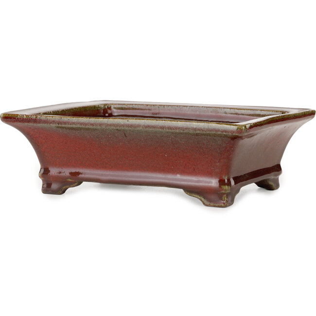 Maceta rectangular para bonsái roja de Seizan (Reihou, Kataoka Katsushi, maestro del horno Seizan) - 215 x 165 x 65 mm