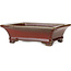 Rectangular red bonsai pot by Seizan (Reihou, Kataoka Katsushi, master Seizan kiln) - 215 x 165 x 65 mm