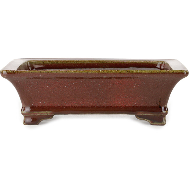 Rechthoekige rode bonsaipot van Seizan (Reihou, Kataoka Katsushi, meester Seizan oven) - 215 x 165 x 65 mm