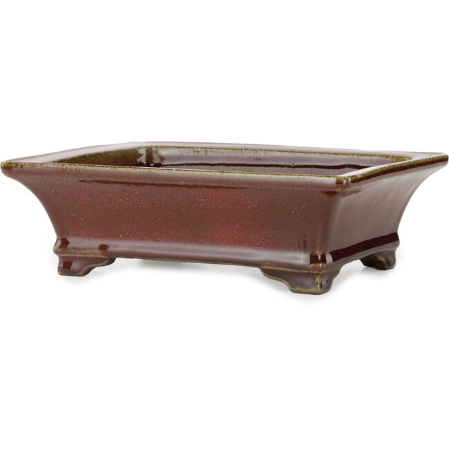 Vaso bonsai rettangolare rosso di Seizan (Reihou, Kataoka Katsushi, forno del maestro Seizan) - 215 x 165 x 65 mm