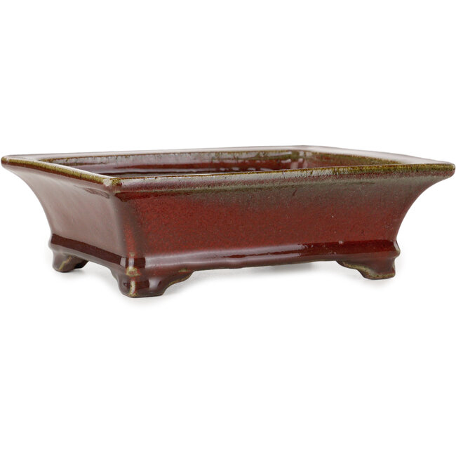 Maceta rectangular para bonsái roja de Seizan (Reihou, Kataoka Katsushi, maestro del horno Seizan) - 215 x 165 x 65 mm