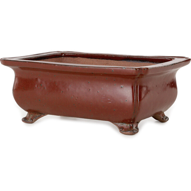 Vaso bonsai rettangolare rosso di Seizan (Reihou, Kataoka Katsushi, forno del maestro Seizan) - 250 x 183 x 98 mm
