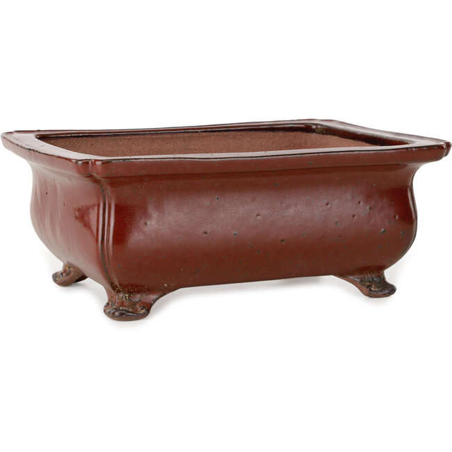 Vaso bonsai rettangolare rosso di Seizan (Reihou, Kataoka Katsushi, forno del maestro Seizan) - 250 x 183 x 98 mm