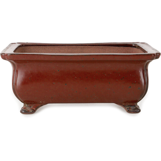 Rechthoekige rode bonsaipot van Seizan (Reihou, Kataoka Katsushi, meester Seizan oven) - 250 x 183 x 98 mm
