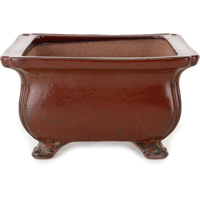 Vaso bonsai rettangolare rosso di Seizan (Reihou, Kataoka Katsushi, forno del maestro Seizan) - 250 x 183 x 98 mm