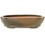 Ovaler, braun-weißer Bonsai-Topf mit Craquelé-Muster von Hattori – 225 x 170 x 50 mm