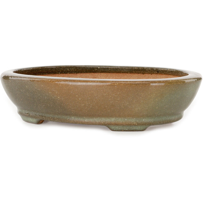 Vaso bonsai ovale craquelé marrone e bianco di Hattori - 225 x 170 x 50 mm