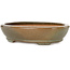 Maceta ovalada para bonsái craquelada en marrón y blanco de Hattori - 225 x 170 x 50 mm