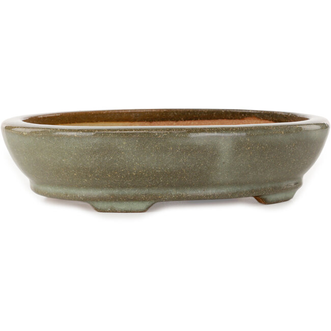 Oval brown and white craquelé bonsai pot by Hattori - 225 x 170 x 50 mm
