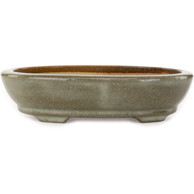 Maceta ovalada para bonsái craquelada en marrón y blanco de Hattori - 225 x 170 x 50 mm