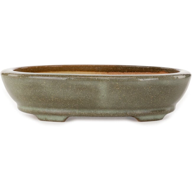 Ovale bruin-witte bonsaipot met craquelé-effect van Hattori - 225 x 170 x 50 mm