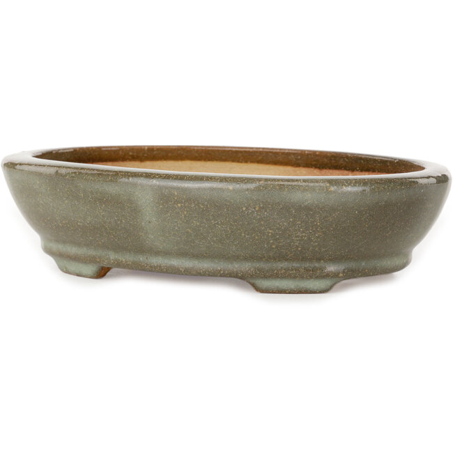 Oval brown and white craquelé bonsai pot by Hattori - 225 x 170 x 50 mm