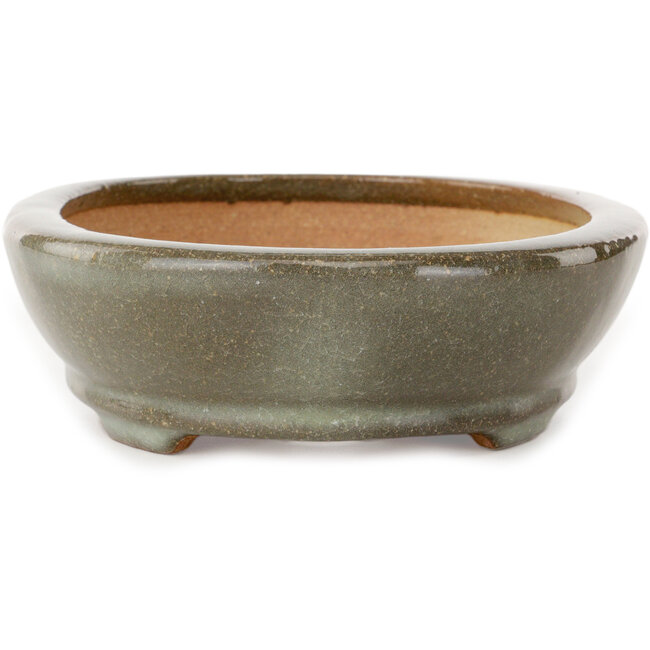 Ovaler, braun-weißer Bonsai-Topf mit Craquelé-Muster von Hattori – 225 x 170 x 50 mm