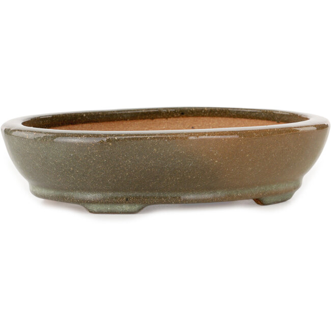 Vaso bonsai ovale craquelé marrone e bianco di Hattori - 225 x 170 x 50 mm