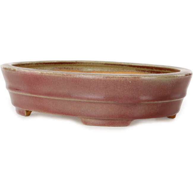 Ovaler roter Bonsai-Topf von Hattori – 263 x 198 x 58 mm