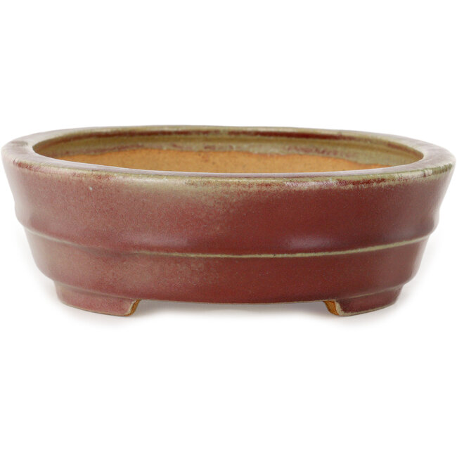 Vaso bonsai ovale rosso di Hattori - 263 x 198 x 58 mm