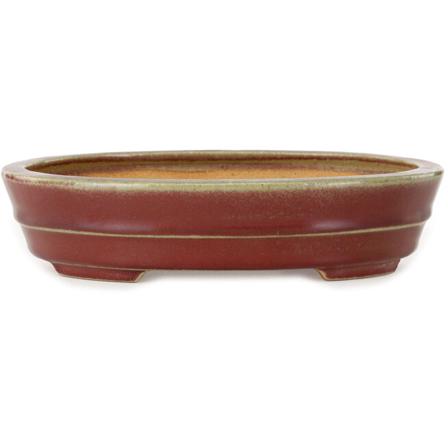 Ovale rode bonsaipot van Hattori - 263 x 198 x 58 mm