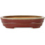 Maceta ovalada roja para bonsái de Hattori - 263 x 198 x 58 mm