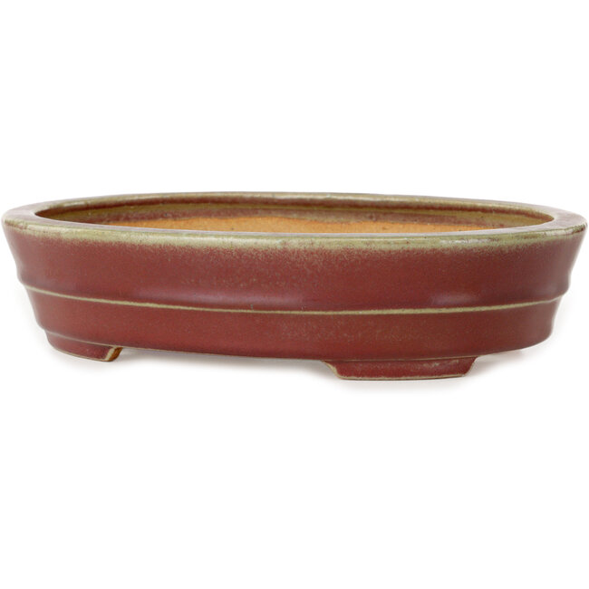 Vaso bonsai ovale rosso di Hattori - 263 x 198 x 58 mm