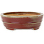 Pot ovale rouge pour bonsaï de Hattori - 263 x 198 x 58 mm