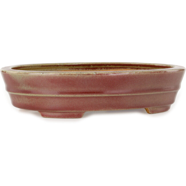 Vaso bonsai ovale rosso di Hattori - 263 x 198 x 58 mm