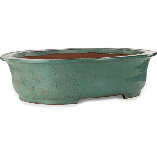 Maceta ovalada turquesa para bonsái de Kakuzan - 790 x 632 x 207 mm