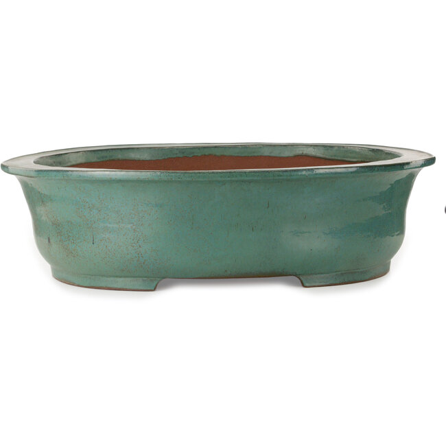 Maceta ovalada turquesa para bonsái de Kakuzan - 790 x 632 x 207 mm