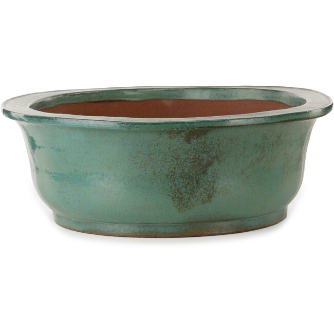 Pot à bonsaï ovale turquoise de Kakuzan - 790 x 632 x 207 mm