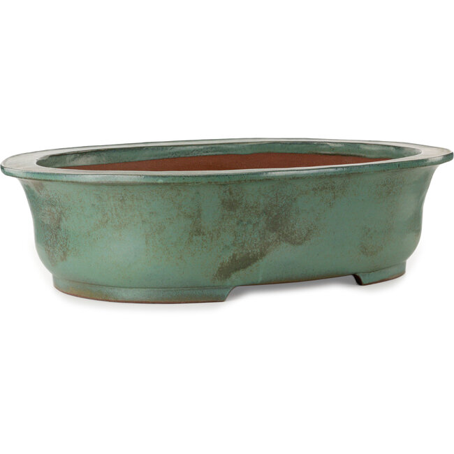 Ovale turquoise bonsaipot van Kakuzan - 790 x 632 x 207 mm