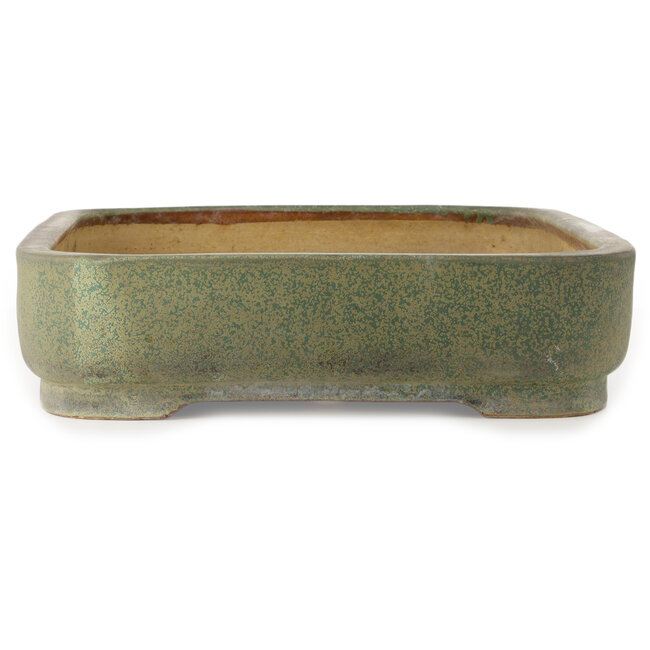 Rechthoekige groene bonsaipot van Hattori - 628 x 435 x 115 mm